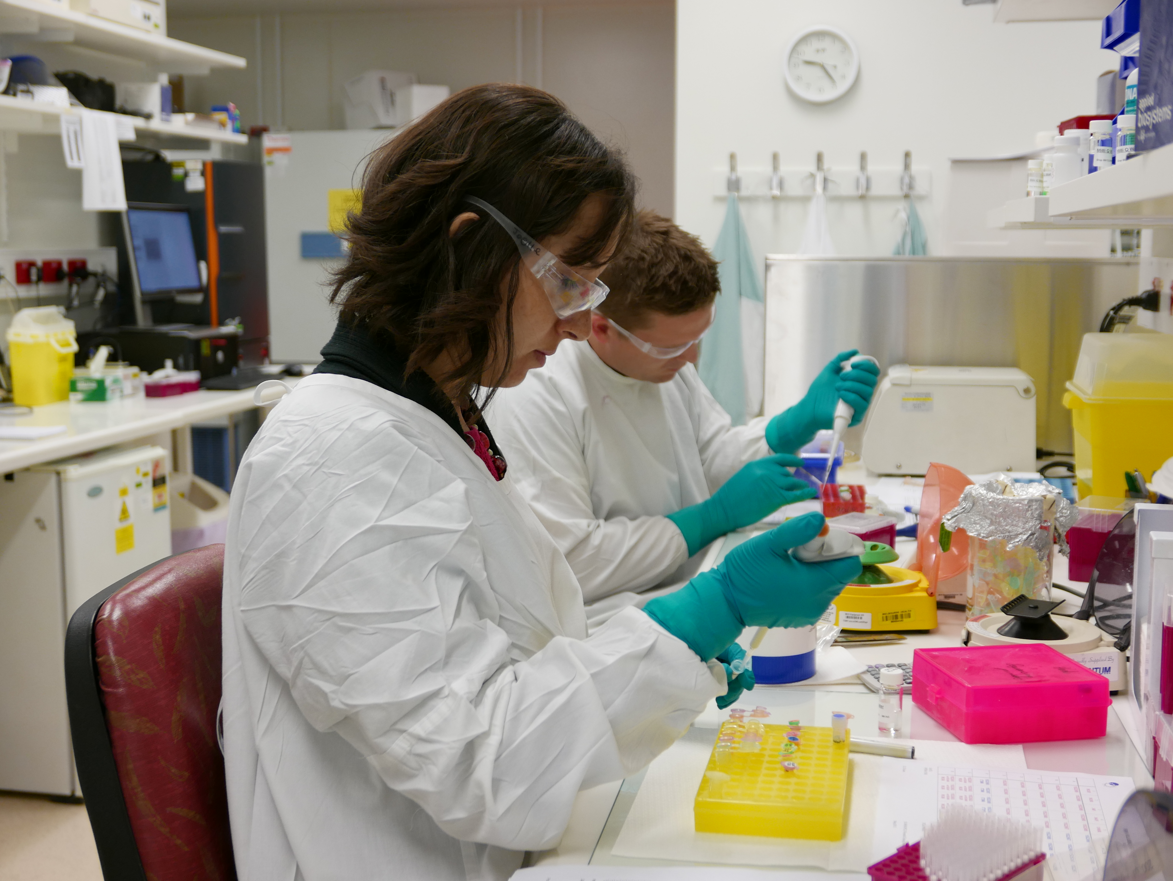 WHO CCRRI - Molecular Analysis
